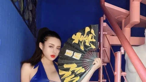十二个人国产电影
